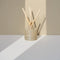 wxy. | Bed Diffuser | Warm Musk & Black Vanilla