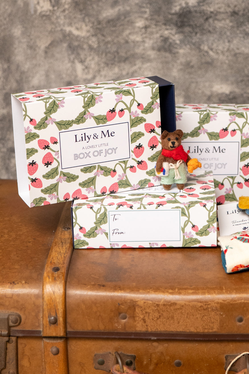 Lily & Me | Beau The Bear Bamboo Socks Giftbox