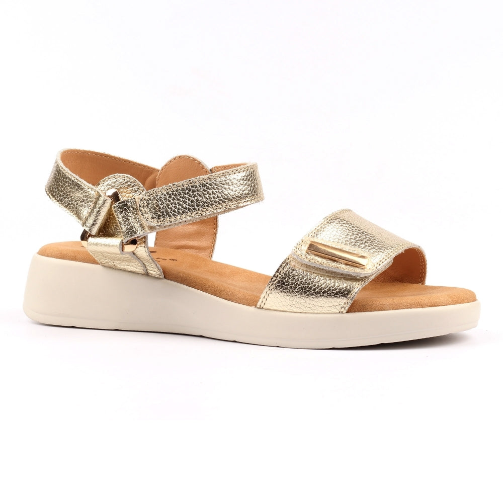 Gold sandal with a white sole on a white background