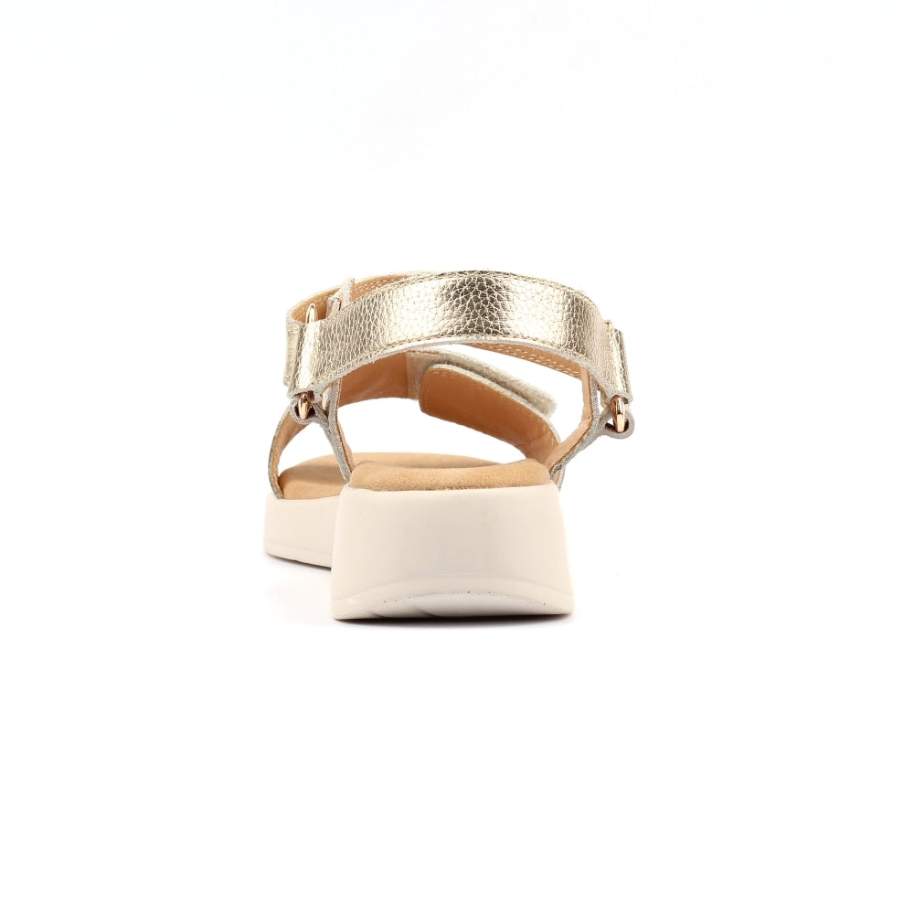 Gold sandal on a white background
