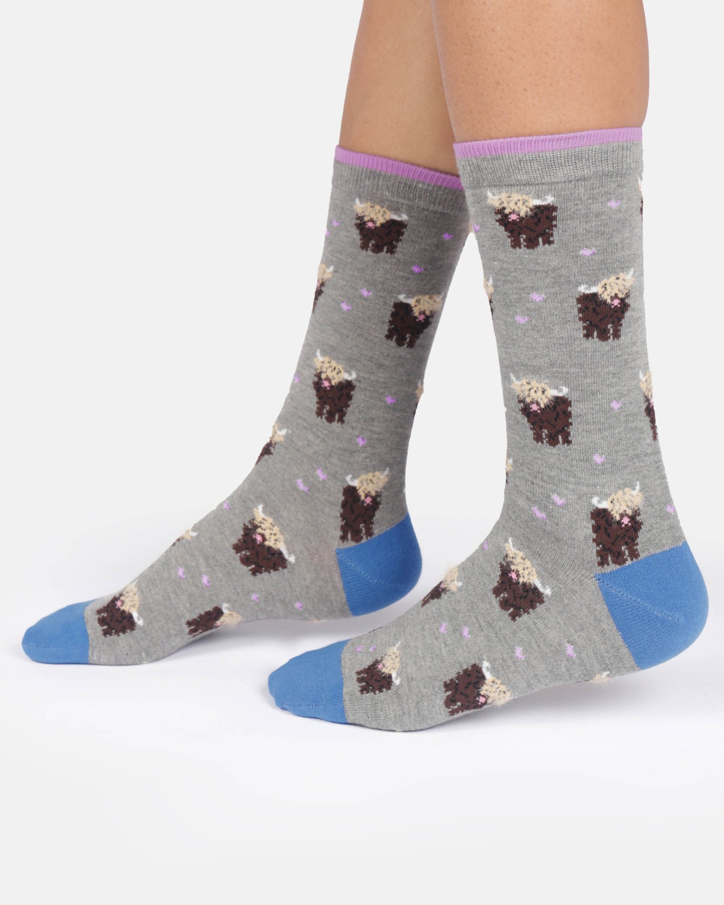 Gray socks with highland cow pattern and blue toes worn by a person on a white background