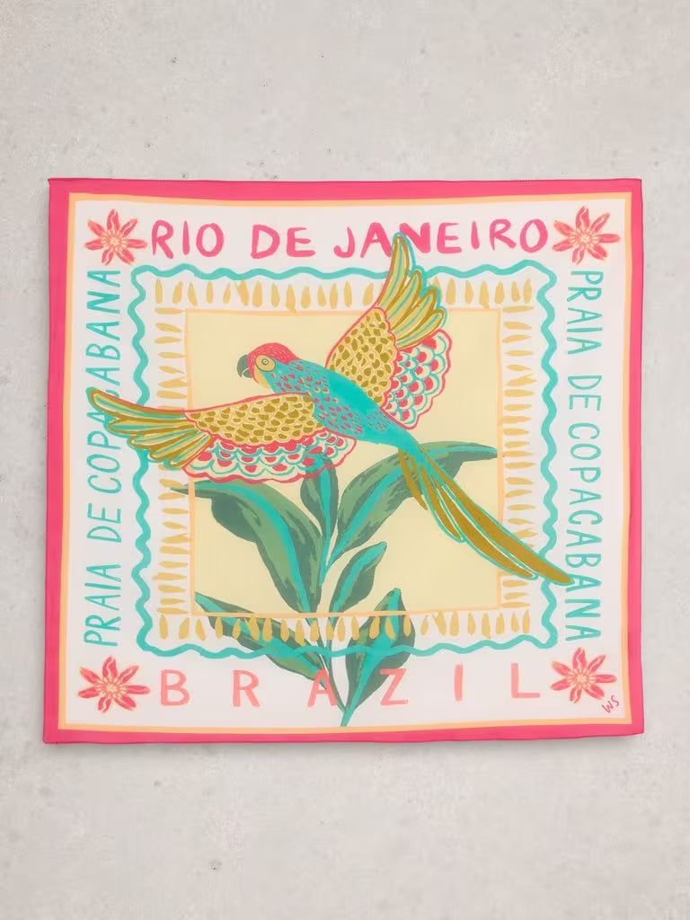 Colorful poster with a parrot design and 'Rio de Janeiro, Brazil' text on a gray background